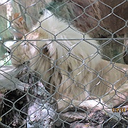 Picture 125